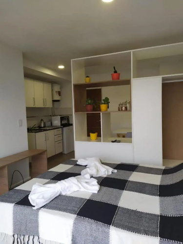 Departamento Parque Alem