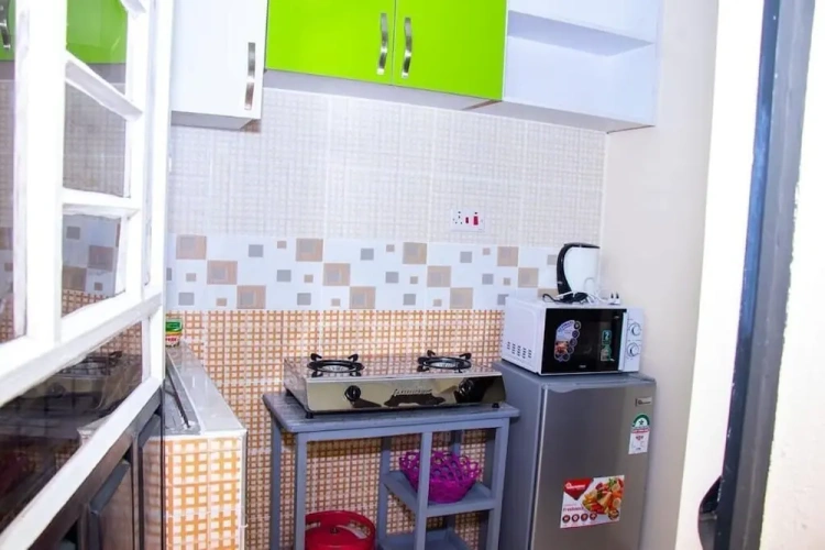 Deluxe Apartment