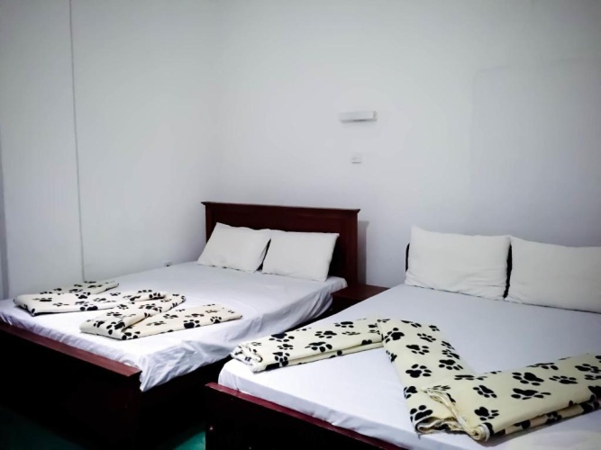 Standard Double room with view