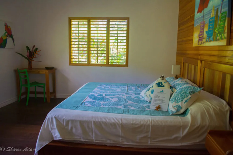 Turtle Beach House