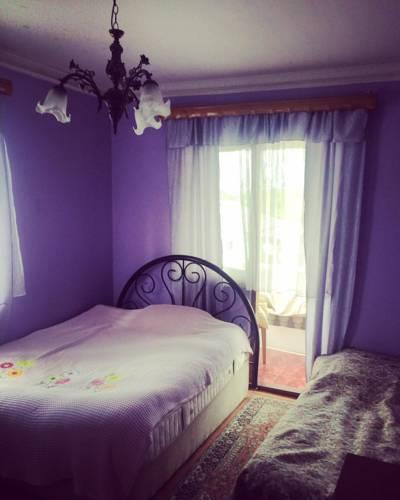 Guesthouse Soso
