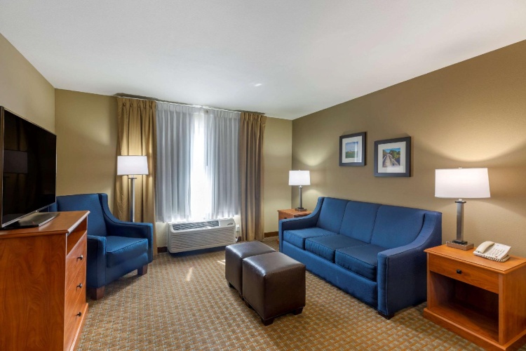 1 Bedroom Suite