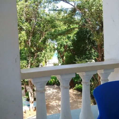Executive Double room with garden view