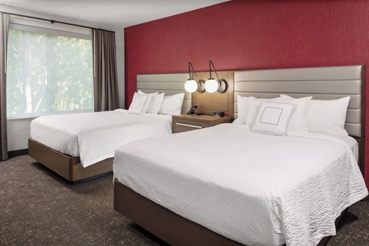1 Bedroom Suite