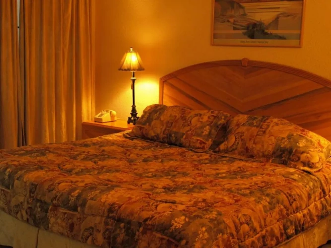 Standard Single room with view