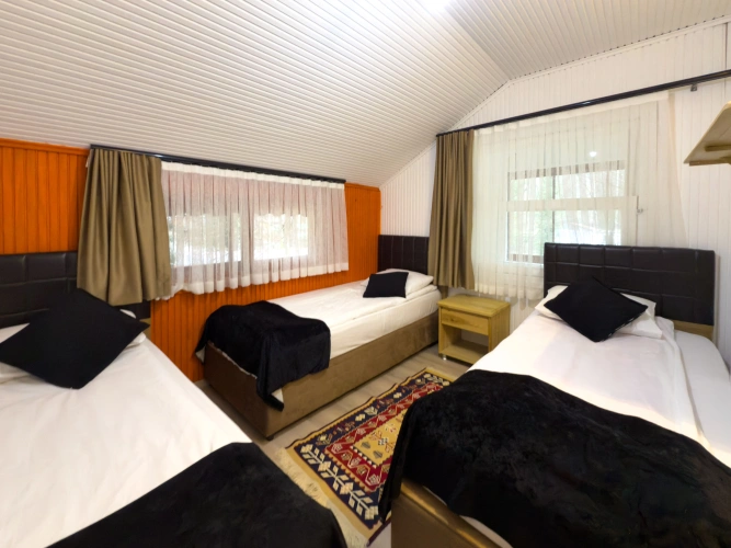 Standard Double room with balcony and with mountain view