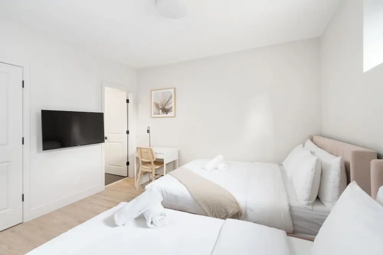 Luxury Apartment