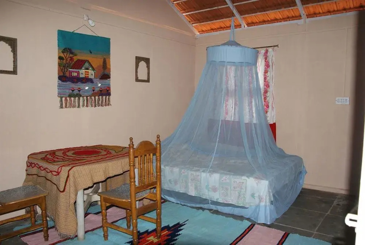 Mamoos Place