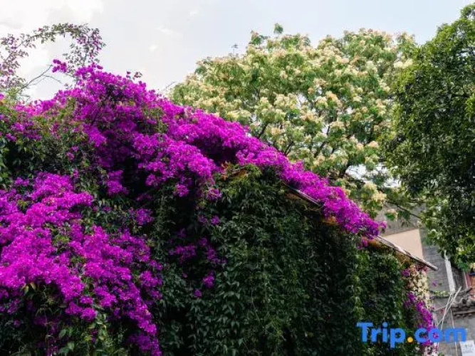 Kunming Yinyue Homestay