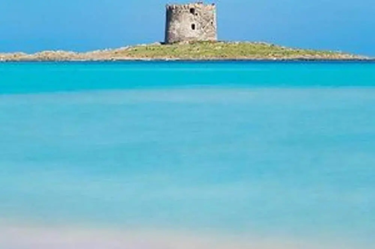 Sardinian Villa Enjoy Stintino With Your Pets !
