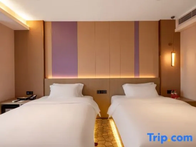 Superior Twin room with city view