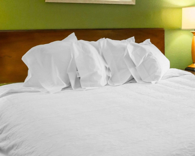 Econo Lodge Washington NC North