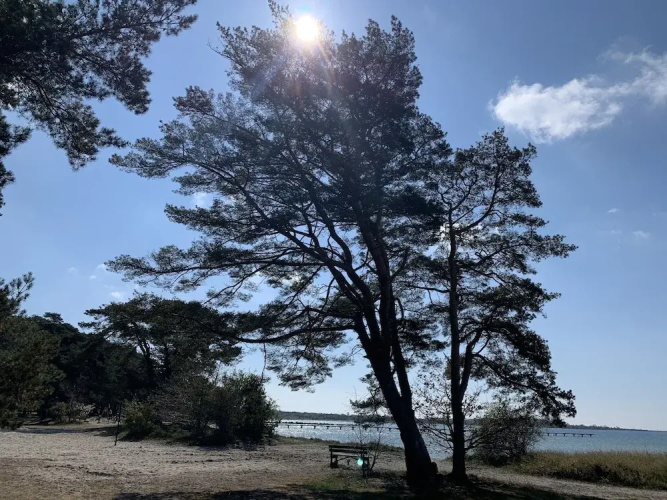Hanöhus Strandstugor och Annex