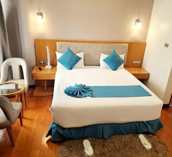 Z Addis Hotel