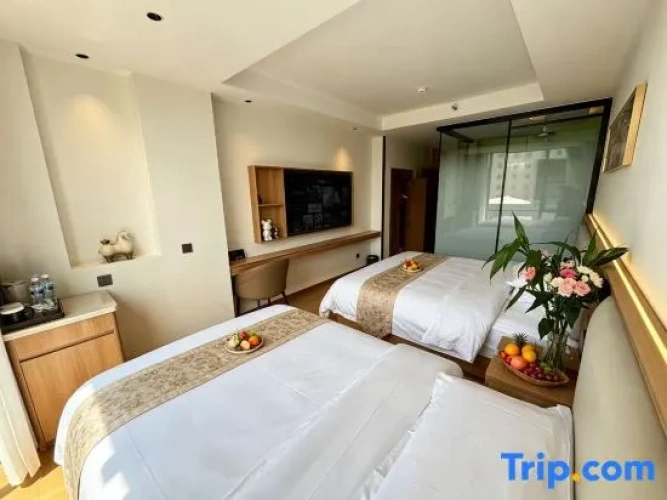 Standard Twin room with city view