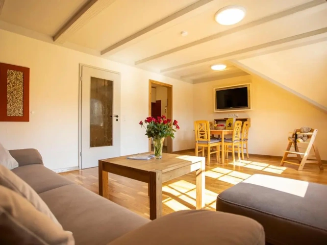 Double Apartment