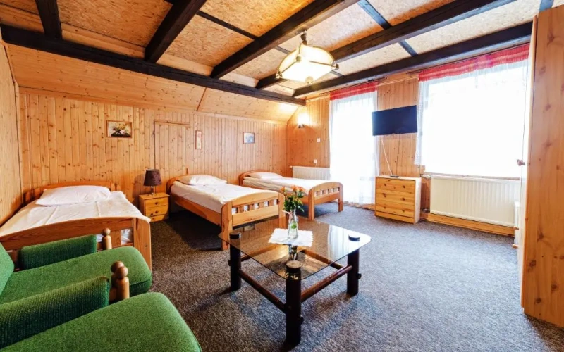 Standard Twin room with mountain view