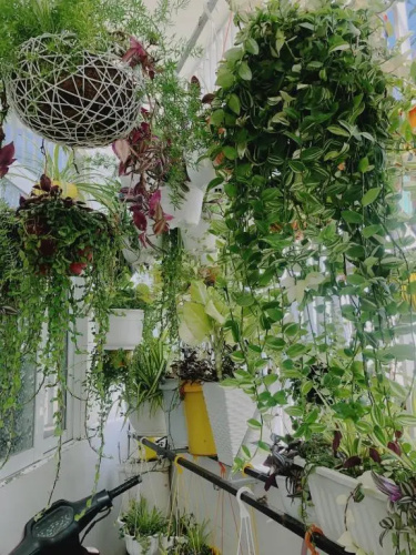 Private studio in hidden gem