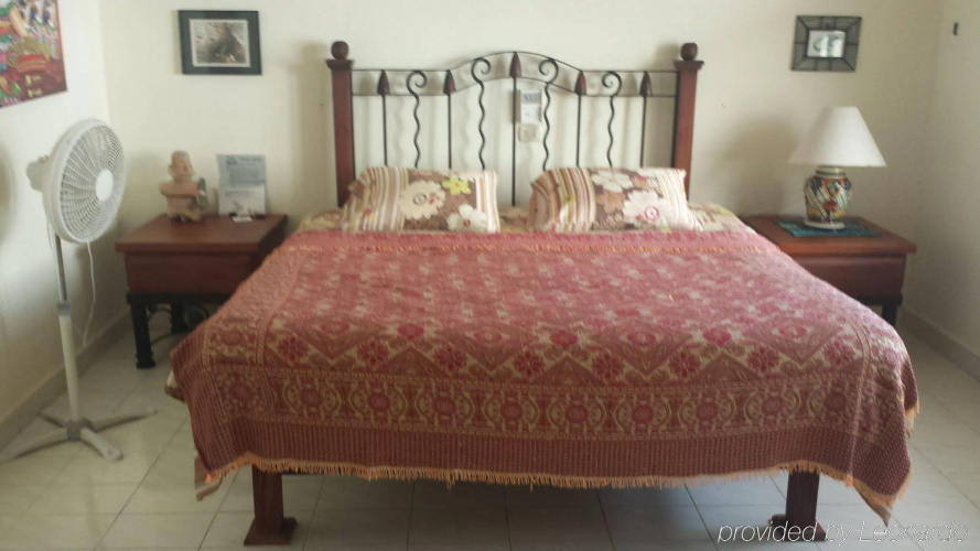 Beachouse Dive Hostel Cozumel