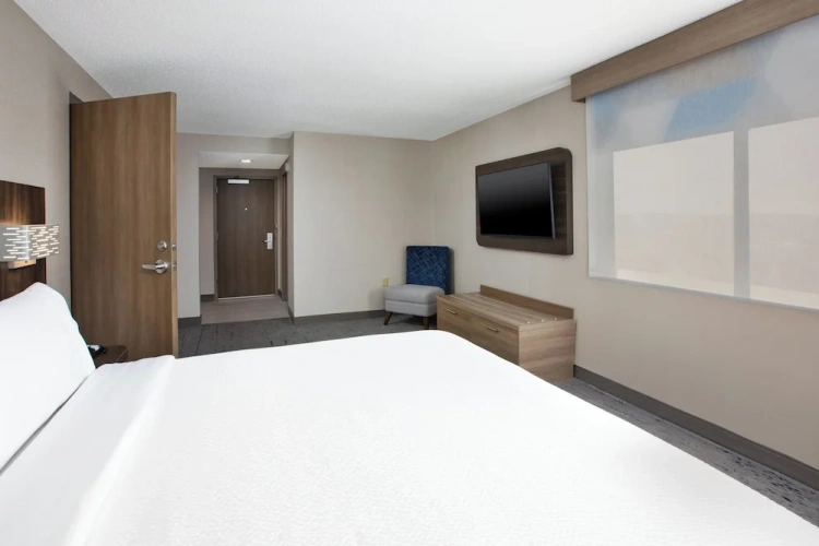 1 Bedroom Suite