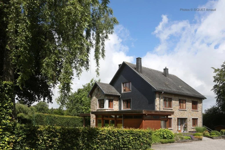 The Beeches of Coteaux
