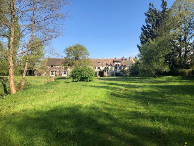Standard Double room with garden view