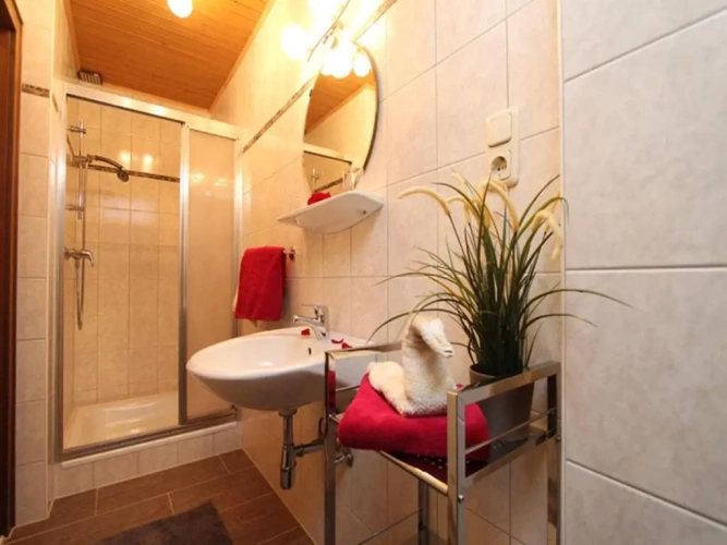 Standard Double room with mountain view