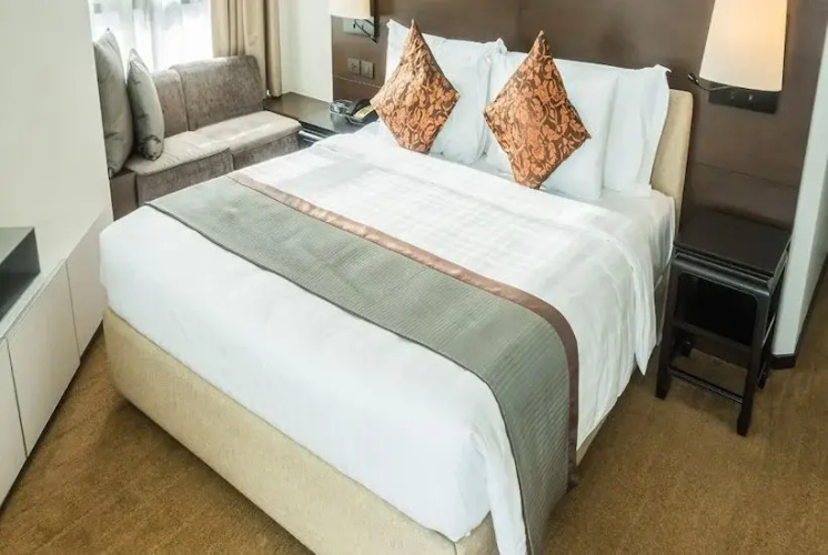 Avexia Shreya Residency