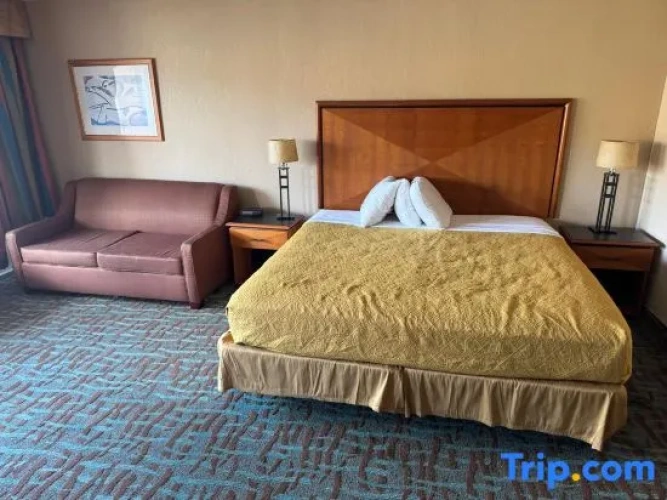 Double Junior Suite