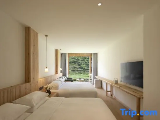 Standard Quadruple Family room