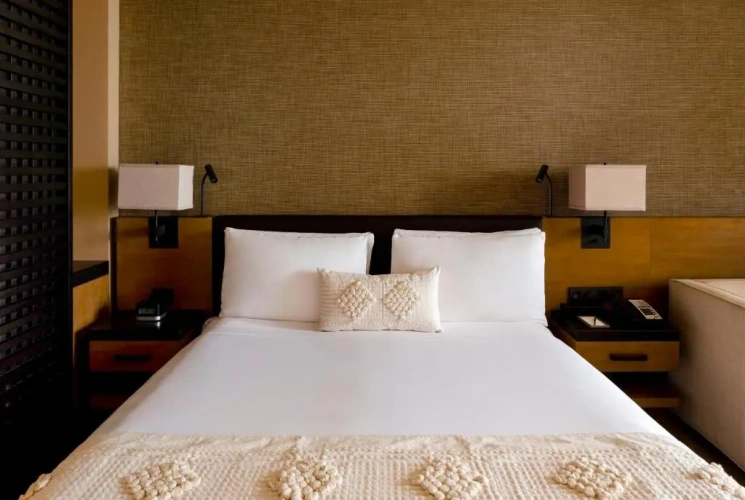 Deluxe Guest Double room with resort view