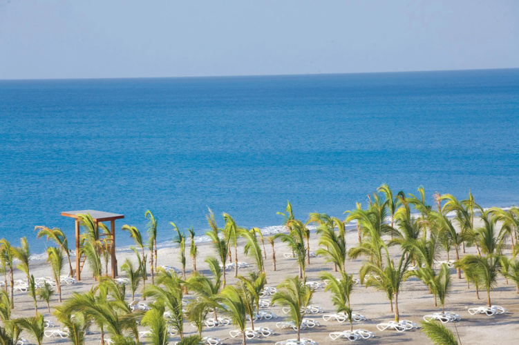 Riu Playa Blanca photo 16