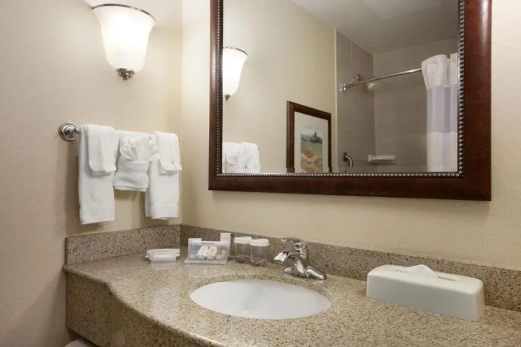 1 Bedroom Suite