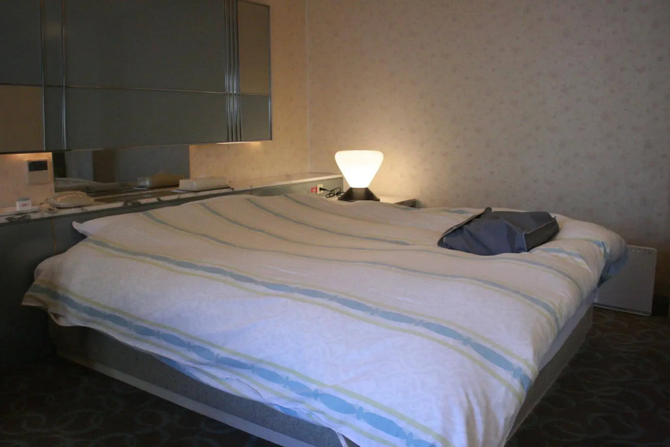 Hotel Alpina