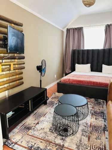 1 Bedroom Classic Studio