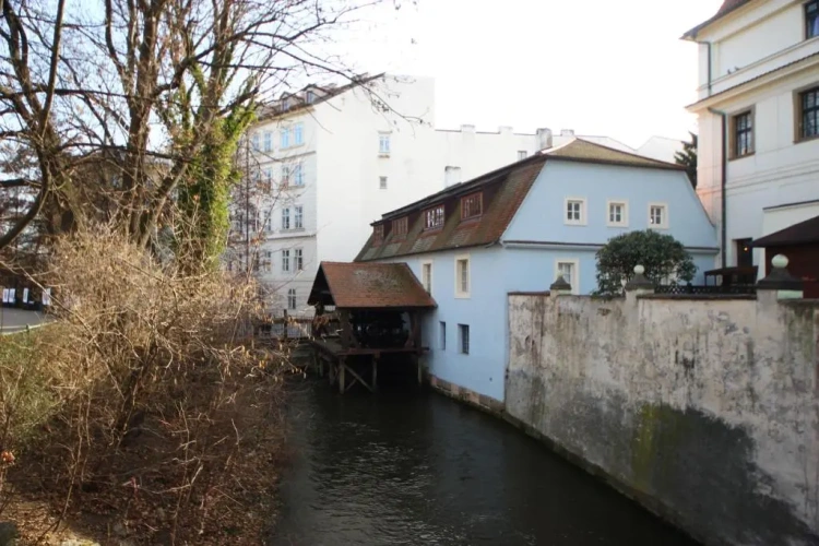 1 Bedroom Double Apartment