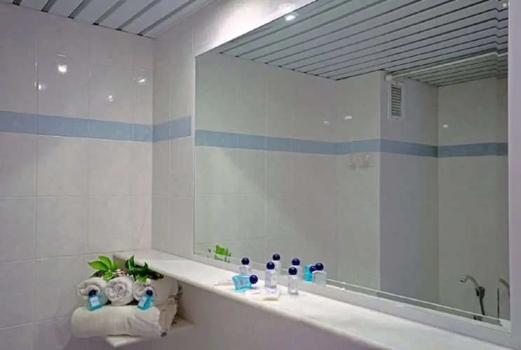 Standard Double room with balcony and with sea view
