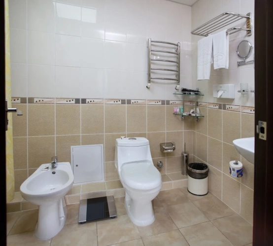 1 Bedroom Luxury room with balcony and with park view