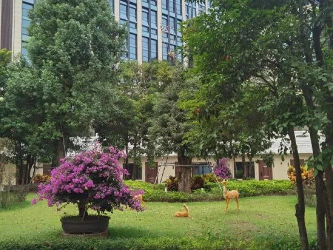 Outside