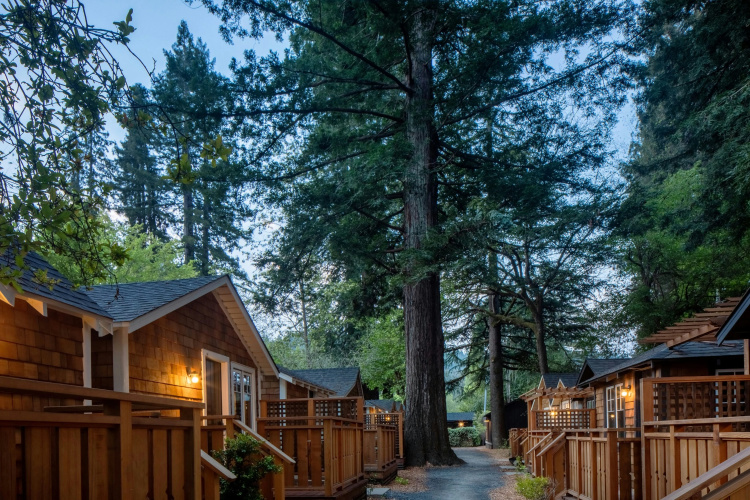 Dawn Ranch Lodge photo 19