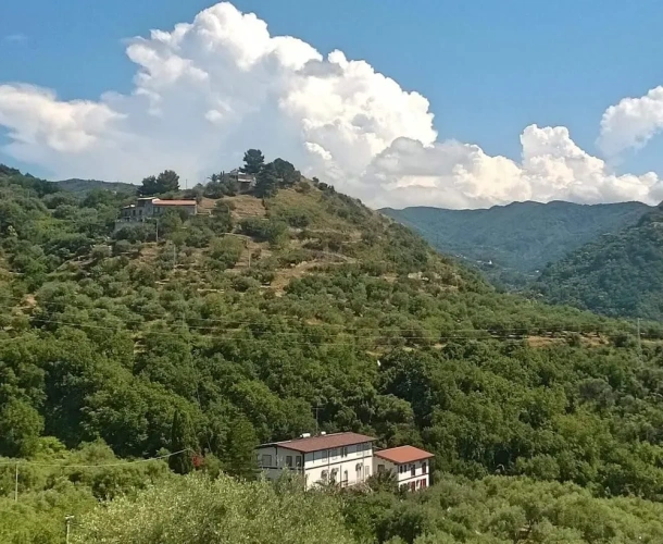 2 Bedrooms Standard room with garden view