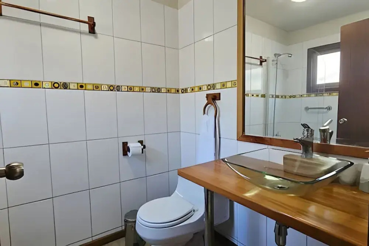 Oceana Suites Corralco