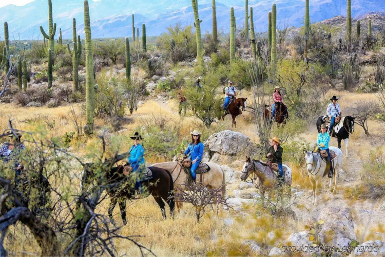Tanque Verde Ranch