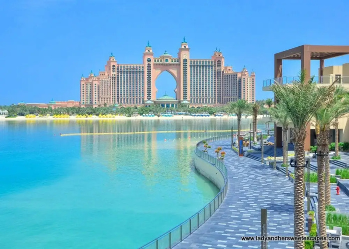 Palm Views East