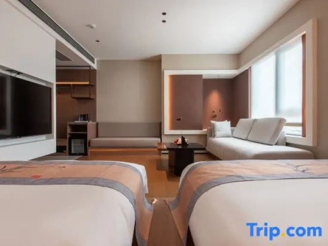 Comfort Suite