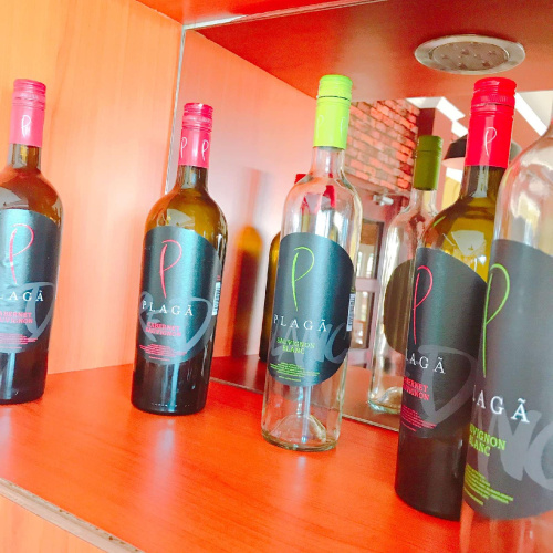 Revayah Hotels