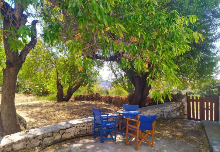 Almond trees house