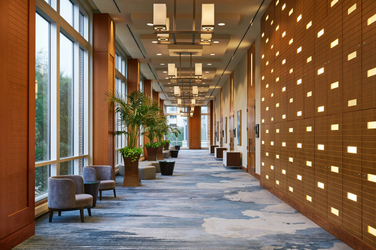 The Westin Virginia Beach Town Center photo 14