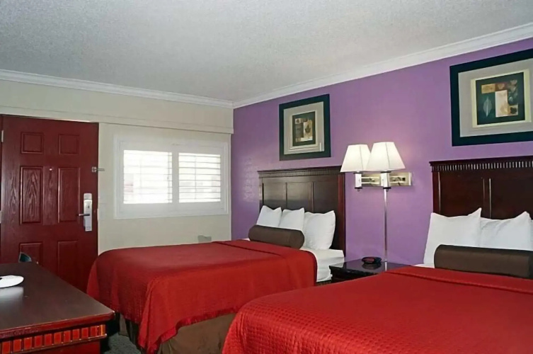 Dream Inn