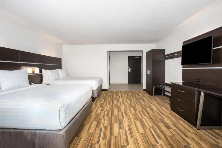 Quadruple Suite